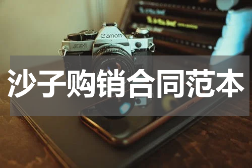 沙子购销合同范本