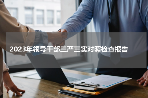 2023年领导干部三严三实对照检查报告
