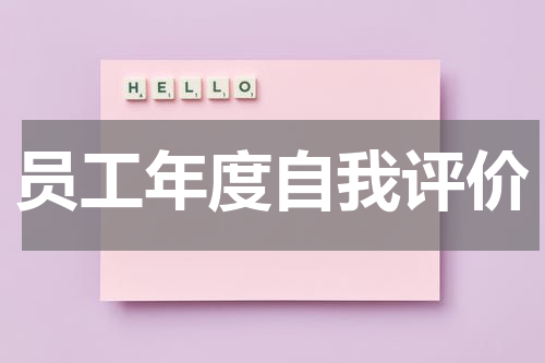 员工年度自我评价