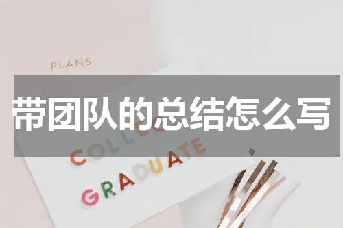 带团队的总结怎么写