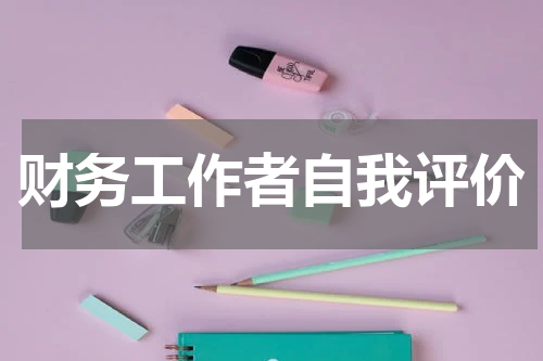 财务工作者自我评价