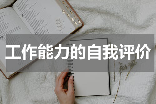 工作能力的自我评价
