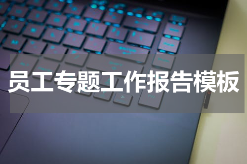 员工专题工作报告模板