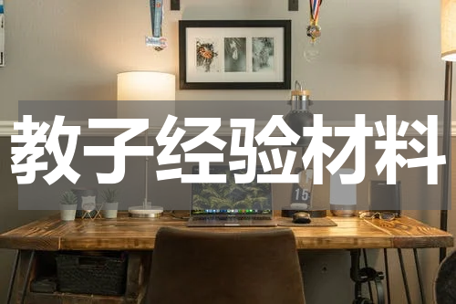 教子经验材料