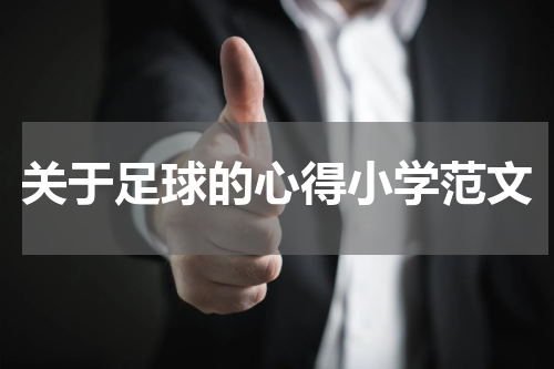 关于足球的心得小学范文
