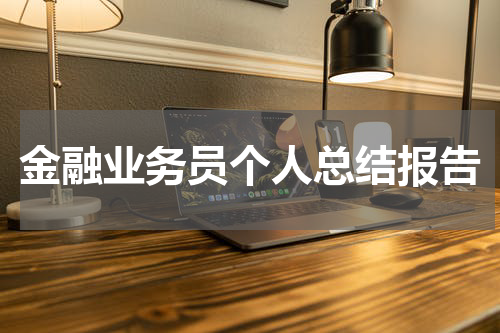 金融业务员个人总结报告