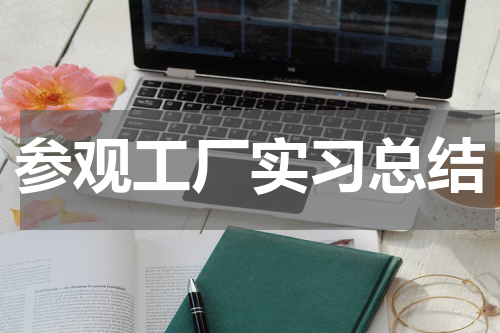 参观工厂实习总结