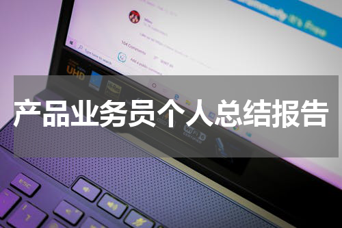 产品业务员个人总结报告