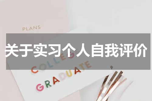 关于实习个人自我评价