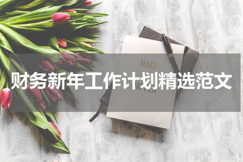 财务新年工作计划精选范文