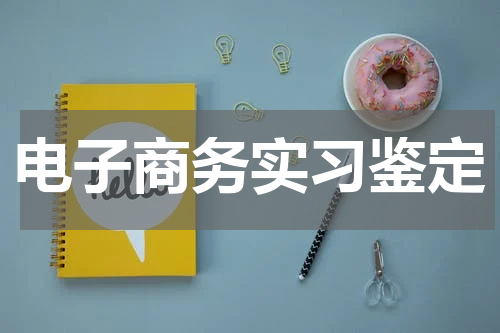 电子商务实习鉴定