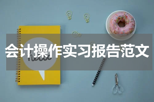 会计操作实习报告范文