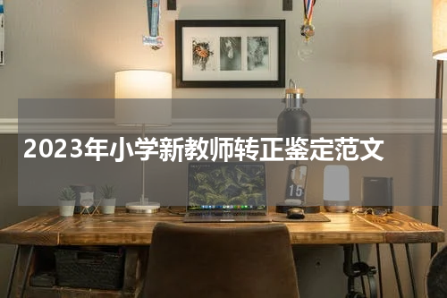 2023年小学新教师转正鉴定范文
