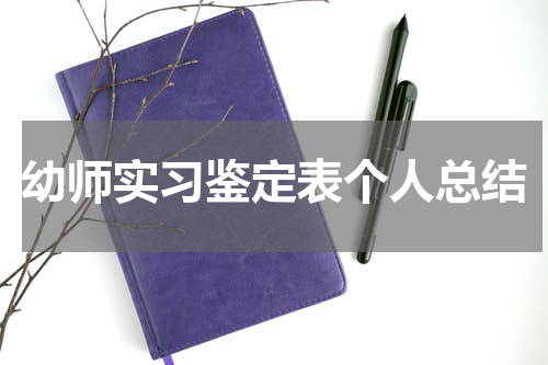 幼师实习鉴定表个人总结