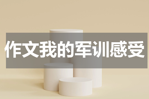 作文我的军训感受