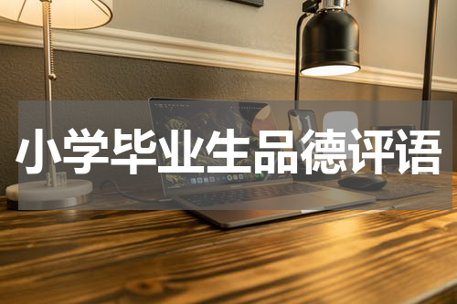 小学毕业生品德评语