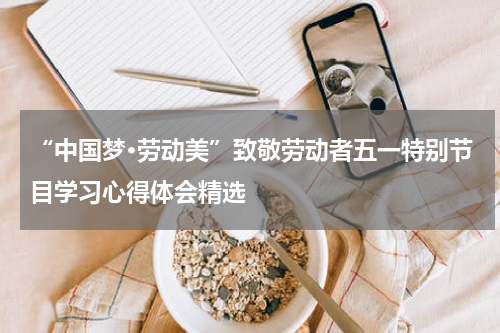 “中国梦·劳动美”致敬劳动者五一特别节目学习心得体会精选
