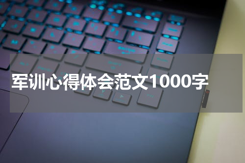军训心得体会范文1000字