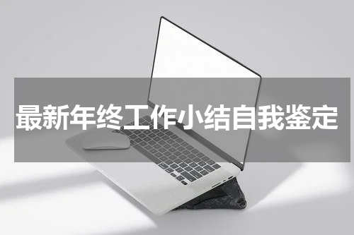 最新年终工作小结自我鉴定