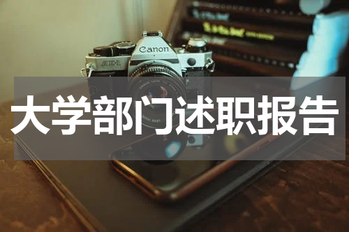 大学部门述职报告