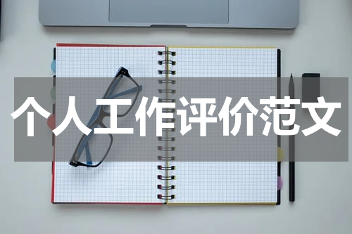 个人工作评价范文
