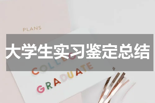 大学生实习鉴定总结