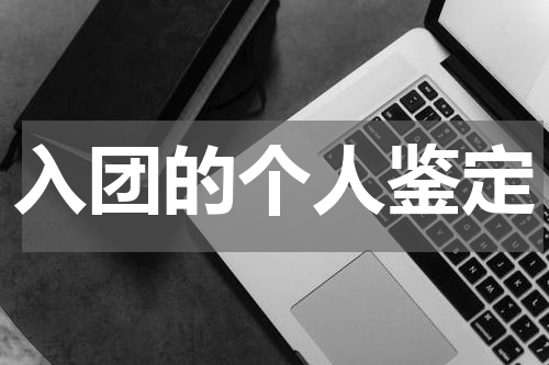 入团的个人鉴定