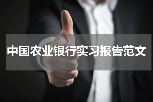 中国农业银行实习报告范文