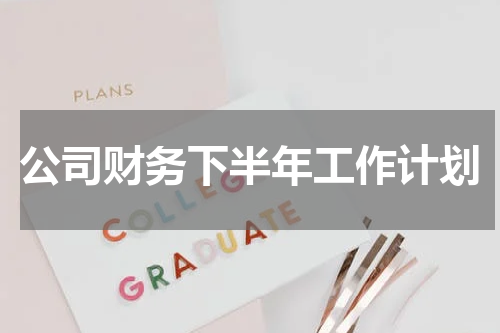 公司财务下半年工作计划