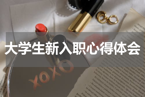 大学生新入职心得体会