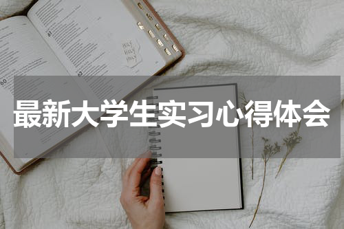 最新大学生实习心得体会