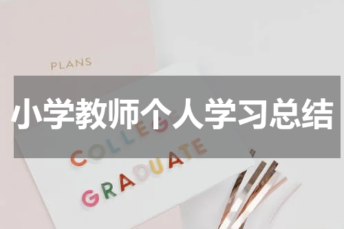 小学教师个人学习总结