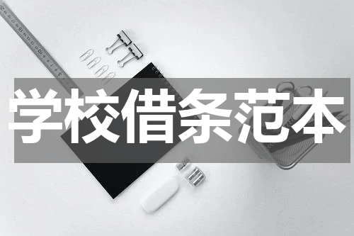 学校借条范本