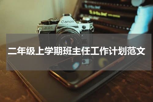 二年级上学期班主任工作计划范文