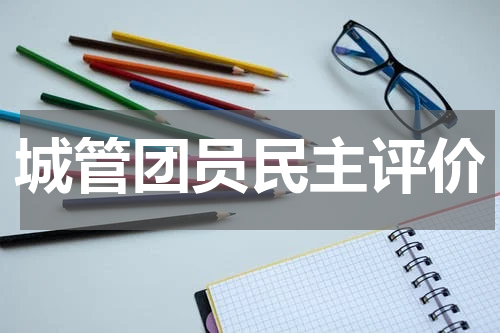 城管团员民主评价