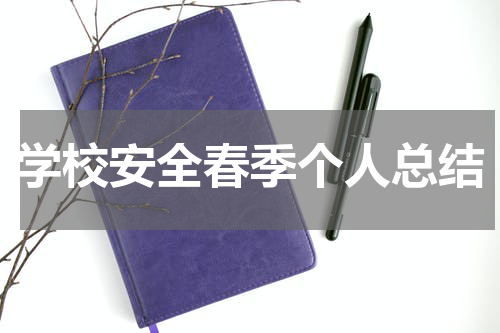 学校安全春季个人总结