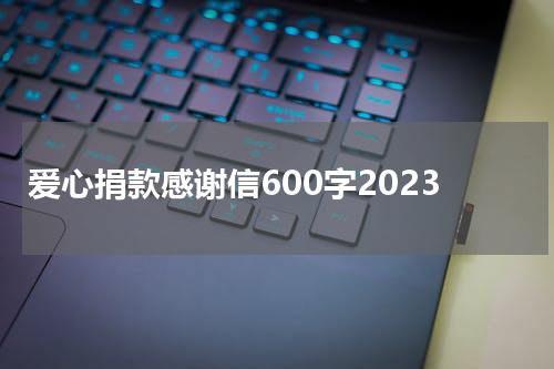 爱心捐款感谢信600字2023