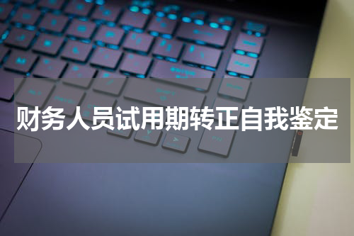 财务人员试用期转正自我鉴定