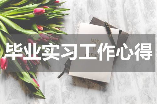 毕业实习工作心得