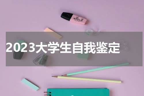 2023大学生自我鉴定
