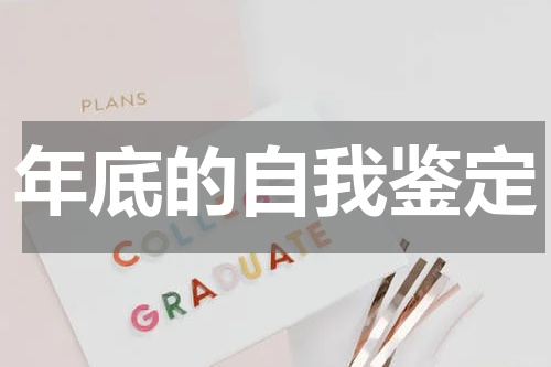年底的自我鉴定