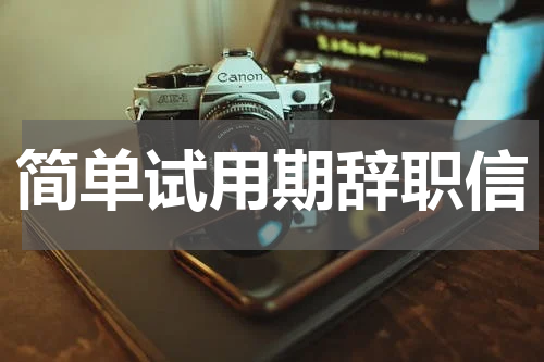 简单试用期辞职信