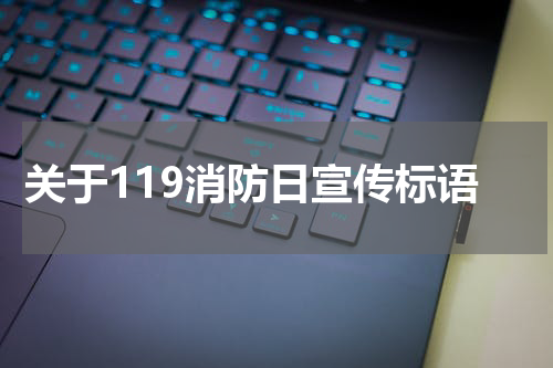 关于119消防日宣传标语