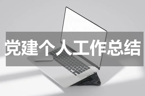 党建个人工作总结