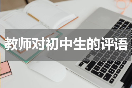 教师对初中生的评语