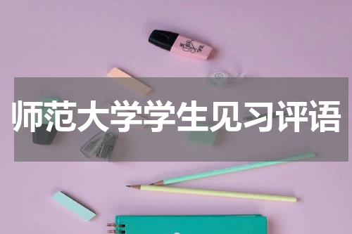 师范大学学生见习评语