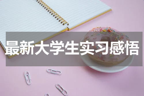 最新大学生实习感悟