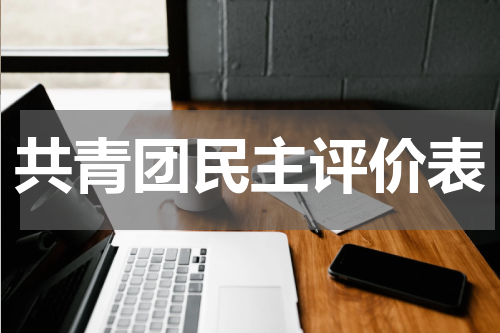 共青团民主评价表