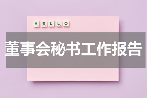 董事会秘书工作报告
