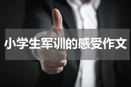 小学生军训的感受作文
